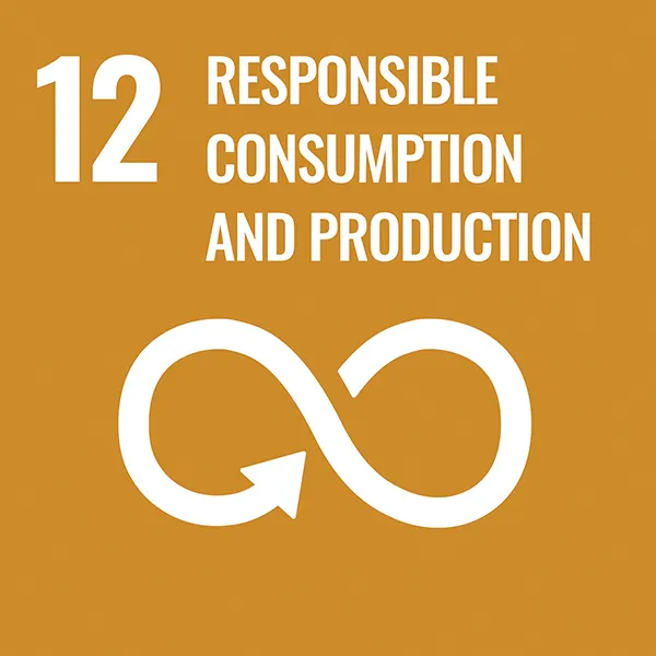 UN_SDG_12