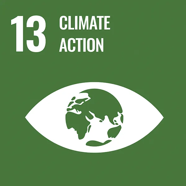 UN_SDG_13